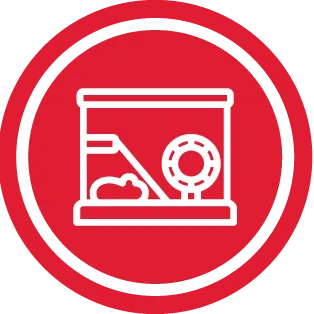 כלובים למכרסמים – רקע אדום