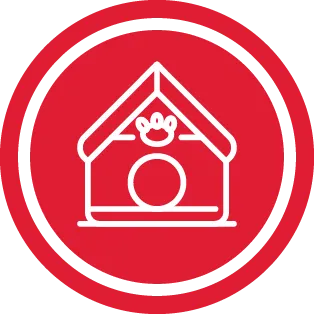 אביזרים למכרסמים