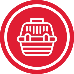 מנשאים וכלובים לחתולים