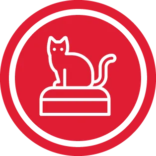 שירותים לחתולים