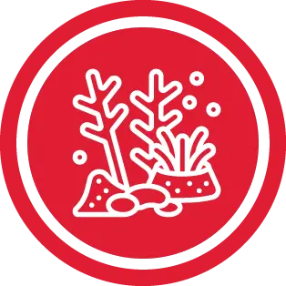 אייקון קווי של אלמנטים תת-ימיים (אלמוגים, אבנים, בועות) בתוך עיגול אדום